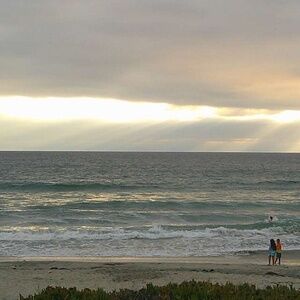 Meet your Posher, Quinn